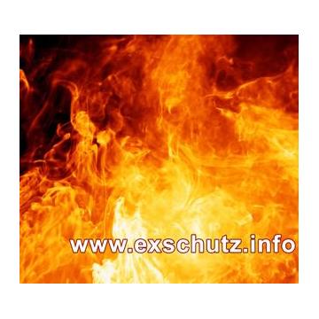 Explosionsschutzbeauftragter 