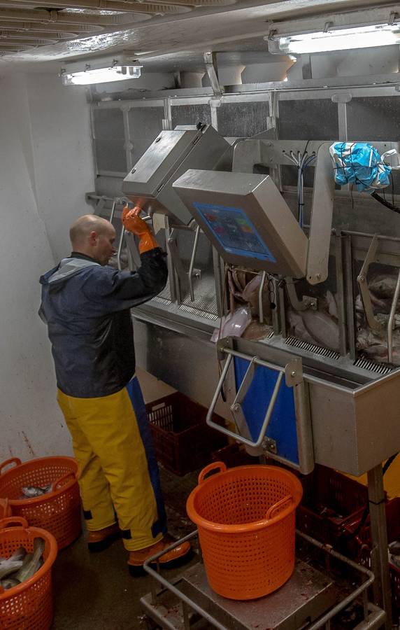 Accurate weighing on board fishing vessels. 