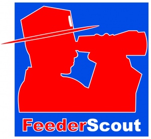 Der Brabender-FeederScout Neues Online-Programm zur automatischen Auswahl des optimalen Schüttgutdosierers
