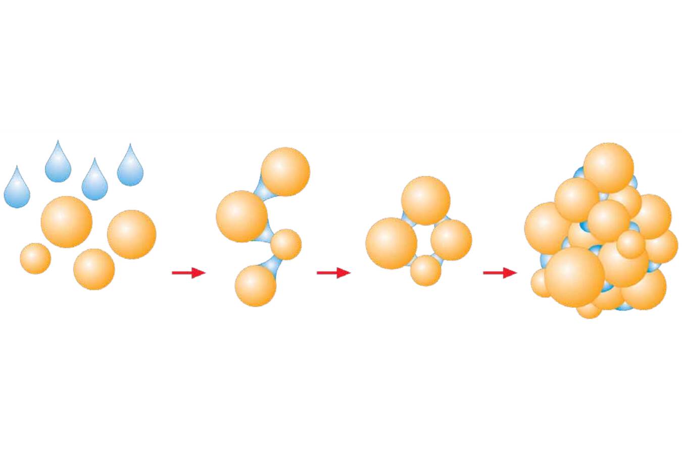 Agglomerate aus der Wirbelschicht Hochentwickelte Prozesstechnik ermöglicht genau definierte Instantprodukte. Sprühagglomerierte Inhaltsstoffe lassen sich in heißem Wasser restlos auflösen und auch mit kalter Milch zu einem Shake mixen.