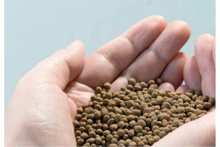 Hochleistungsdünger aus Klärschlammasche Mit dem neuen Verfahren PHOS4green ist es möglich, in einem zweistufigen, rückstandslosen Prozess gebrauchsfertiges, phosphorhaltiges Düngergranulat herzustellen.