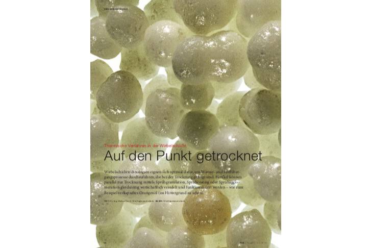 Auf den Punkt getrocknet Thermische Verfahren in der Wirbelschicht