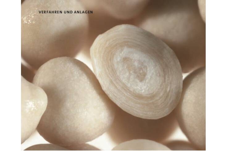 Partikel im Zwiebel-Look Trocknung von Flüssigkeiten durch Wirbelschicht-Sprühgranulation