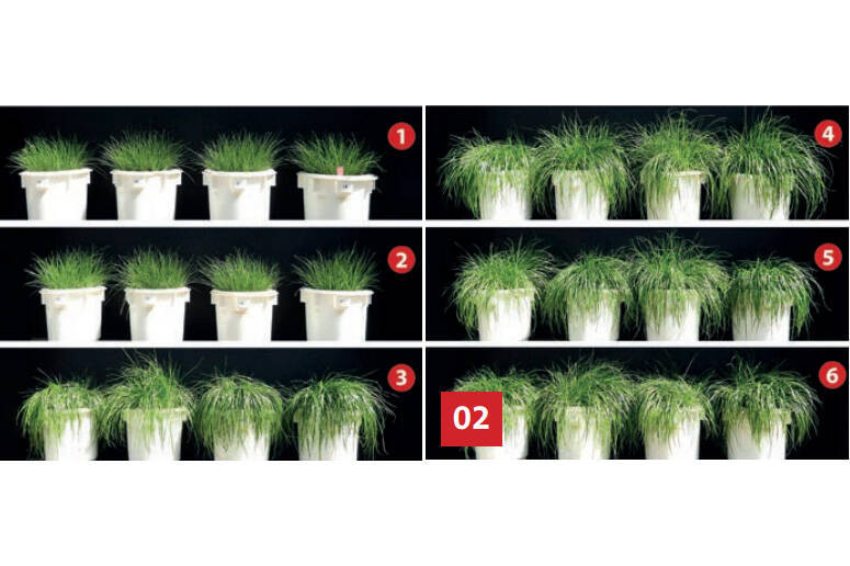 Phosphorrückgewinnung im Industriemaßstab Mit der PHOS4green-Technologie von Glatt steht eine ökonomisch und ökologisch sinnvolle Lösung zur Verfügung, die geeignet ist, den Phosphorkreislauf zu schließen.