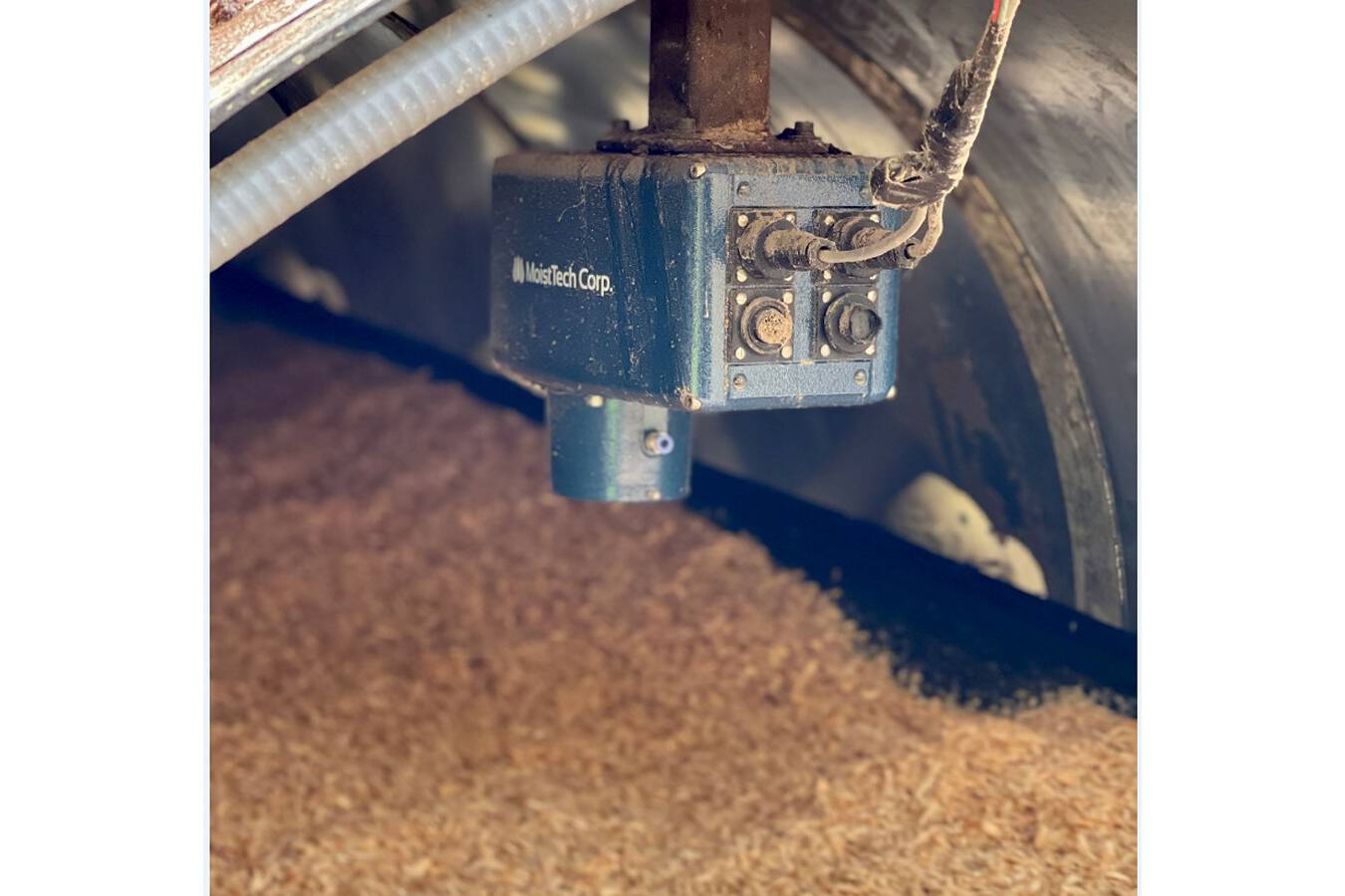 Optimieren Sie Ihren Prozess: Sofortiger ROI mit Moisture Control MoistTech bietet Feuchtesensortechnologie, die Ihnen hilft, die Effizienz zu erhalten und Kosten zu senken. Unser NIR-Sensor arbeitet direkt an Ihren Produktionslinien und ermöglicht Ihnen die einfache Überwachung des Feuchtigkeitsgehalts.
