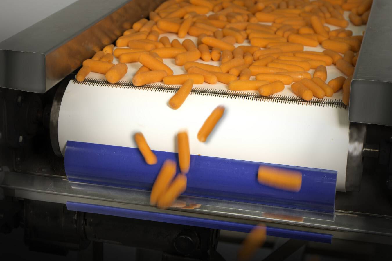 Flexco Abstreifer bringen mehr Qualität in die Lebensmittelherstellung Flexco Europe bietet Kopf- und Sekundärabstreifer, mit denen Hersteller aus der Lebensmittelindustrie langfristig Kosten sparen. 
