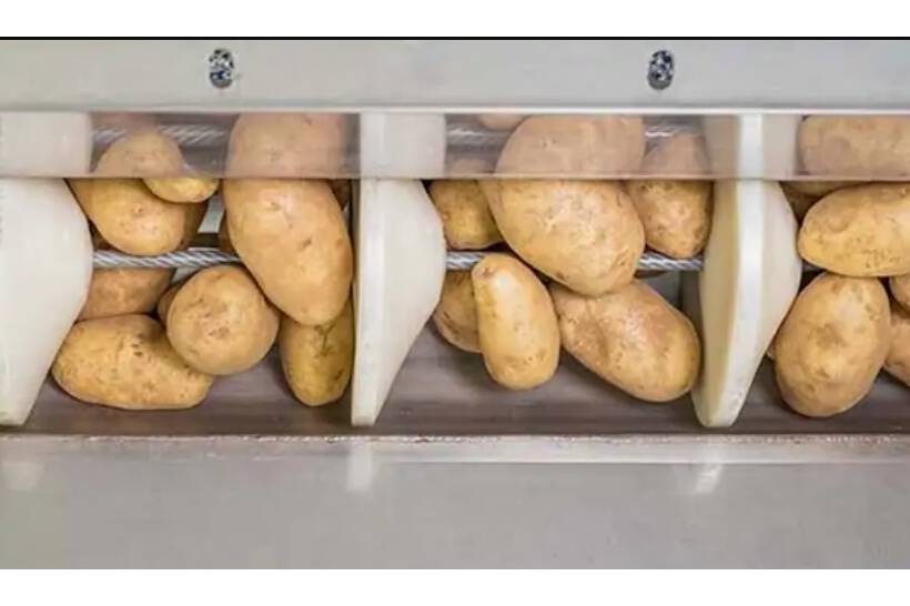Reduzieren Sie Materialbruch mit einem Rohrfördersystem Eine gute Lösung zur Verringerung des Materialbruchs ist ein schonendes Fördersystem. Eine langsame Bewegung mit hohem Volumen schiebt das Material langsam vorwärts, ohne zu viele Kontaktpunkte und ohne Stoßkräfte.