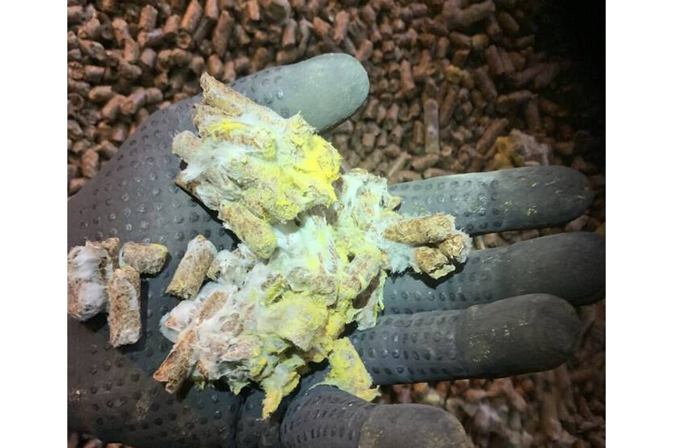 Seiltechnischen Zugangsprozess in der Tierfutter Pellets Absaugung In diesem Bericht wird die erfolgreiche Pelletsabsaugmaßnahme für einen Zuckerhersteller mithilfe der Seilzugangstechnik und Vakuumsaugtechnik vorgestellt. 