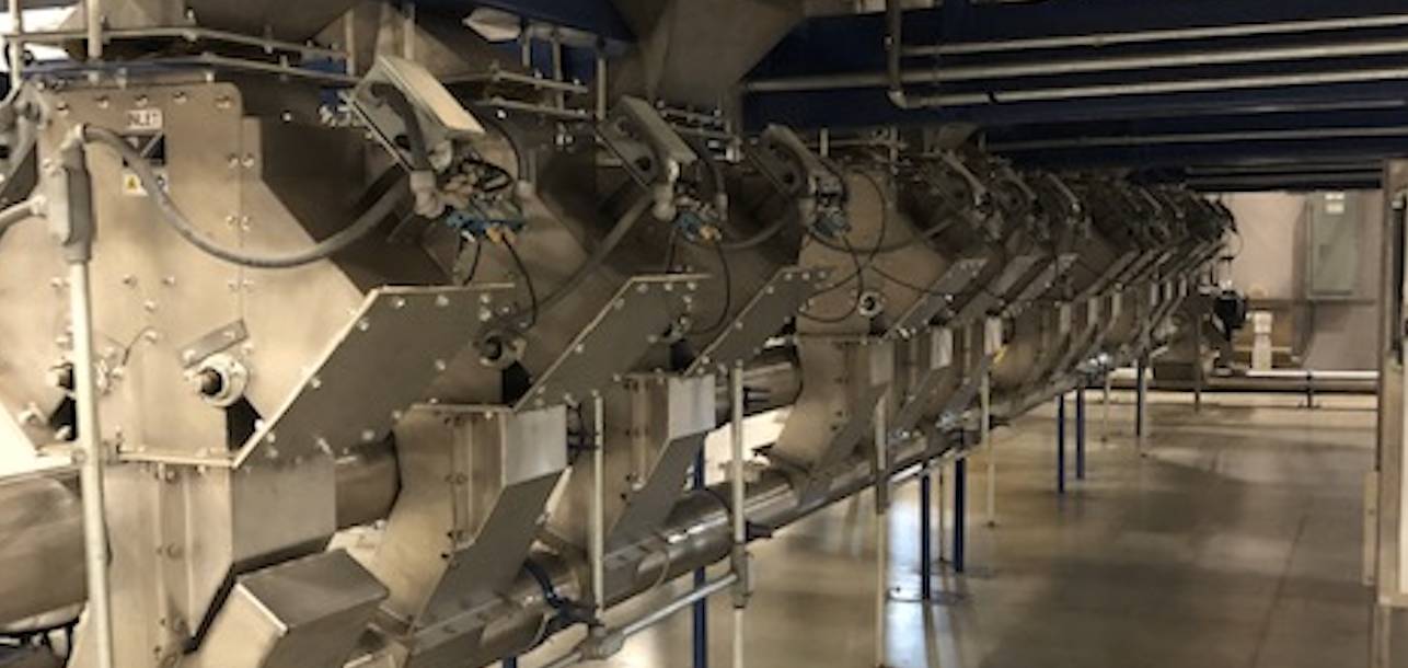 Verarbeitung von Kaffeebohnen mit Hilfe von Vortex Equipment 