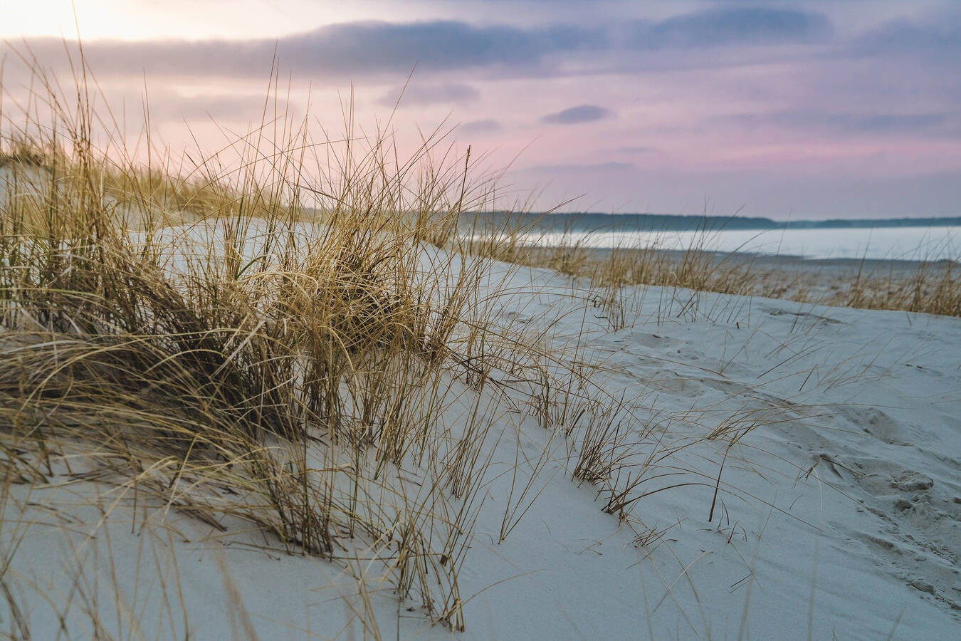 ExSchutz Seminare im Sommer am Timmendorfer Strand und Travemünde HDT Sommerakademie
