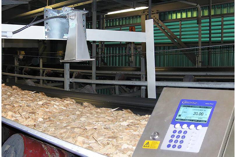 Feuchte von Holzhackschnitzeln 