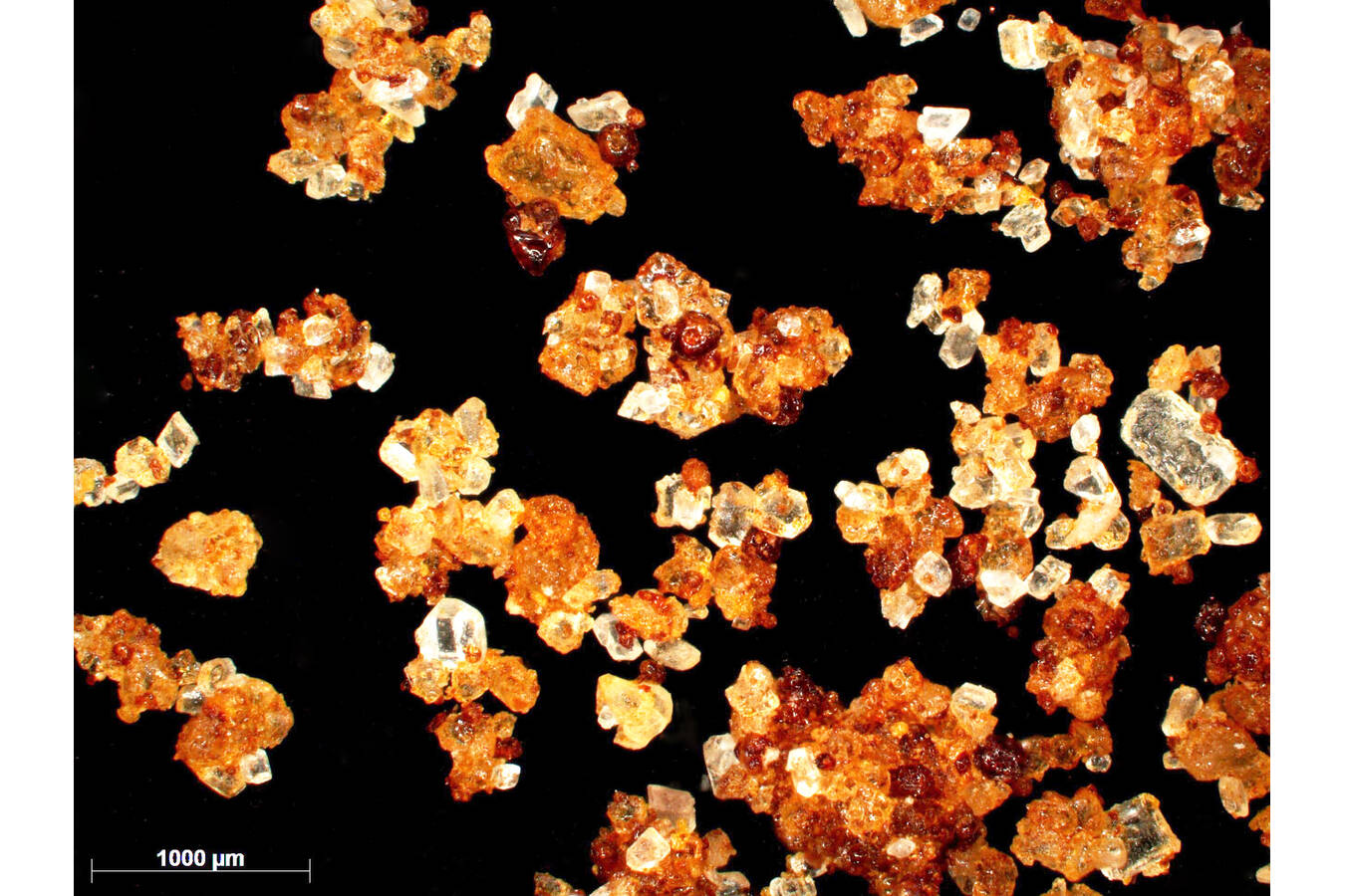 Prozess- und Produktstabilität durch Materialkenntnis Der Einfluss des Glasübergangs amorpher Lebensmittelpulver bei der Wirbelschicht-Agglomeration